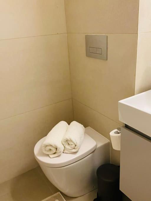 Luxury Maisonette With Shared Pool 雅典 外观 照片